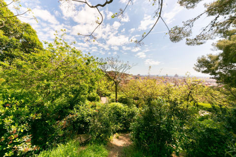 Huoneisto myytävänä Barcelona, Espanja, 4 makuuhuonetta, 114 m2 No. 141062 - kuva 11