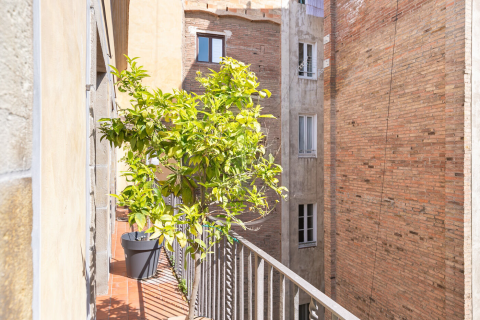 Huoneisto myytävänä Barcelona, Espanja, 3 makuuhuonetta, No. 141066 - kuva 23