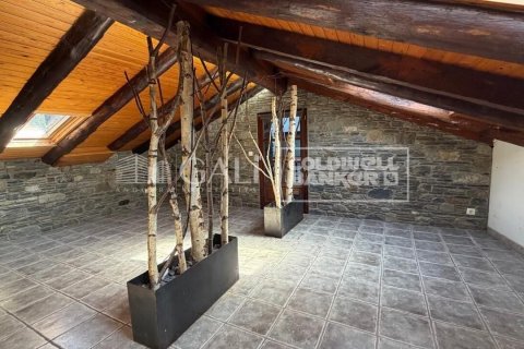 House à vendre à Principado De Andorra (Ninguna Poblacion Tiene C.P.), Lleida, Espagne, 5 chambres, 387 m2 No. 179099 - photo 3