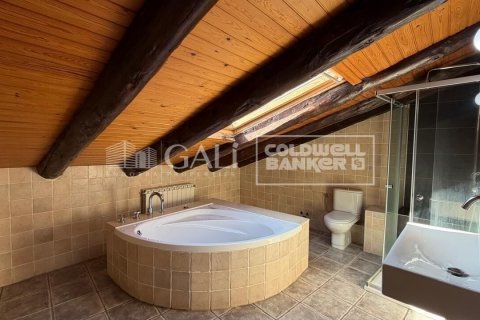House à vendre à Principado De Andorra (Ninguna Poblacion Tiene C.P.), Lleida, Espagne, 5 chambres, 387 m2 No. 179099 - photo 6