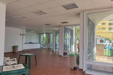 Huoneisto vuokrattavana Estepona, Malaga, Espanja, 2 makuuhuonetta, 95 m2 No. 167548 - kuva 20