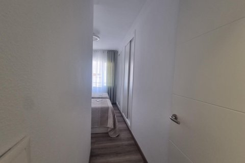 Huoneisto myytävänä Torrevieja, Alicante, Espanja, 3 makuuhuonetta, 105 m2 No. 190156 - kuva 17