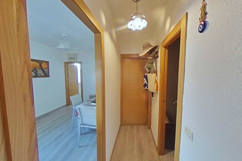 Продажа бунгало в Сан-Педро-дель-Пинатар, Мурсия, Испания 2 спальни, 70м2 №190152 - фото 26