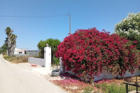 Finca in vendita a Daya Nueva, Alicante, Spagna 4 camere da letto, 196 mq. N° 190153 - foto 5