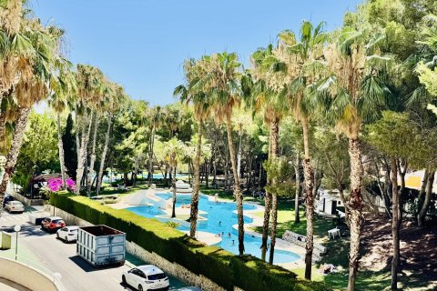 Wohnung zum Verkauf in Dehesa De Campoamor, Alicante, Spanien 2 Schlafzimmer, 61 m2 Nr. 190155 - Foto 18