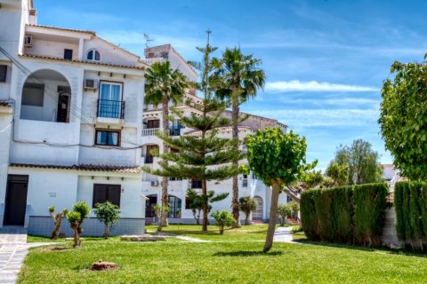 Villetta a schiera in vendita a Torrevieja, Alicante, Spagna 1 camera da letto, 44 mq. N° 183586 - foto 17