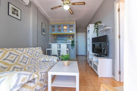 Apartment for sale in La Mata, Alicante, Spain 1 bedroom, 45 sq.m. No. 183583 - photo 10