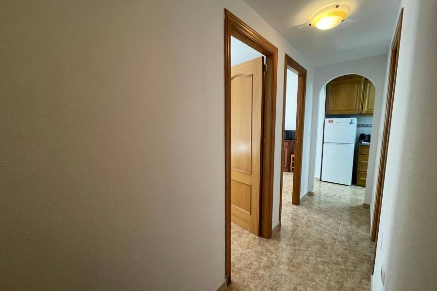 Apartamento en Torrevieja, Alicante, España 3 dormitorios, 80 m2 No. 183588