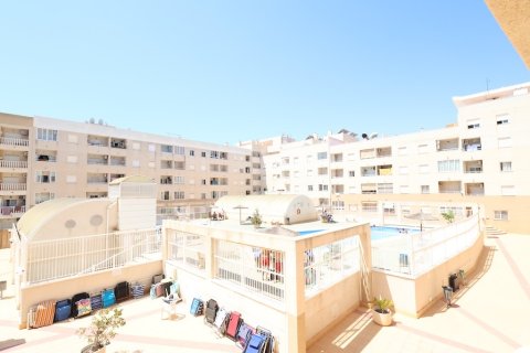 Apartment in Torrevieja, Alicante, Spain 2 bedrooms,  No. 183585