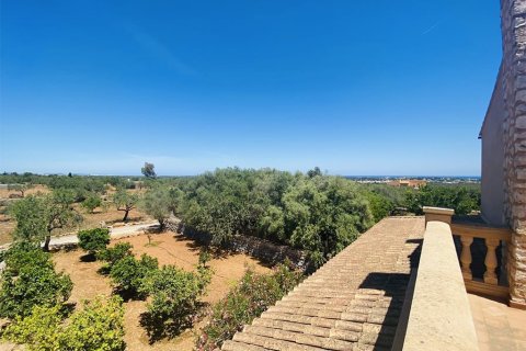 Villa for sale in Mallorca, Spain 6 bedrooms, 700 sq.m. No. 148030 - photo 3
