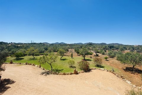 Villa for sale in Mallorca, Spain 6 bedrooms, 700 sq.m. No. 148030 - photo 27