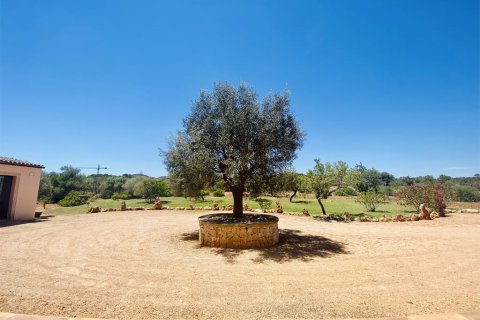 Villa for sale in Mallorca, Spain 6 bedrooms, 700 sq.m. No. 148030 - photo 17