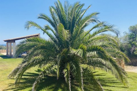 Villa for sale in Mallorca, Spain 6 bedrooms, 700 sq.m. No. 148030 - photo 16