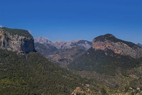 Villa à vendre à Alaro, Mallorca, Espagne, 10 chambres, 1500 m2 No. 148031 - photo 3