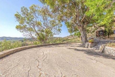 Villa à vendre à Alaro, Mallorca, Espagne, 10 chambres, 1500 m2 No. 148031 - photo 23