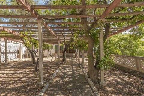 Villa à vendre à Alaro, Mallorca, Espagne, 10 chambres, 1500 m2 No. 148031 - photo 24