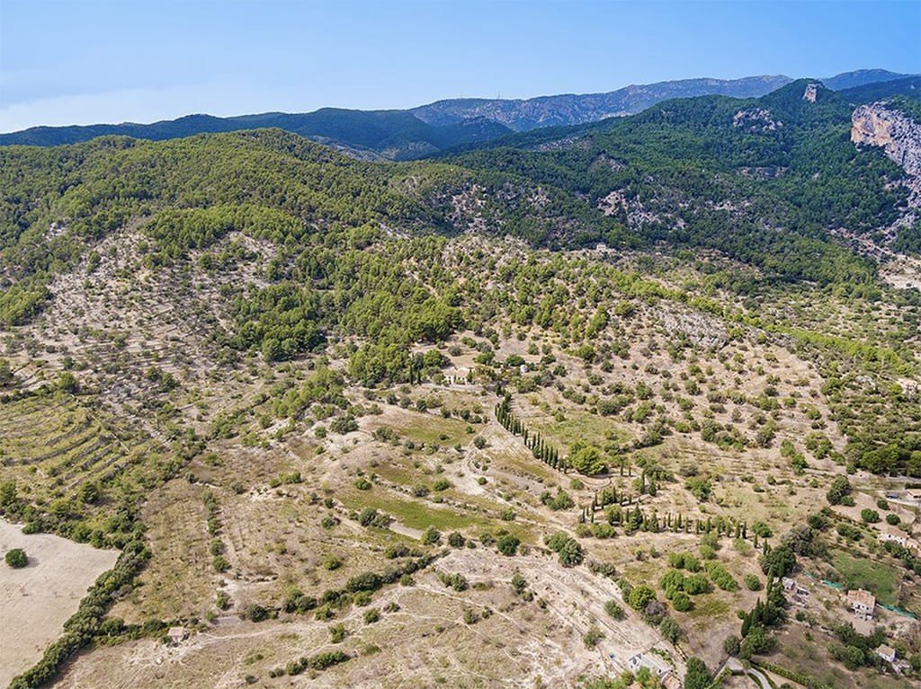 Willa w Alaro, Mallorca, Hiszpania 10 sypialni, 1500 mkw. nr 148031