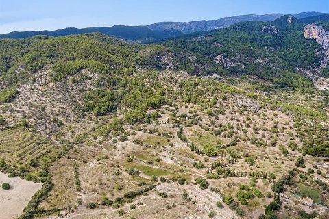 Villa à vendre à Alaro, Mallorca, Espagne, 10 chambres, 1500 m2 No. 148031 - photo 5