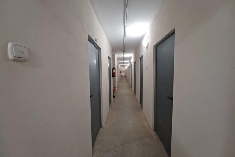 Apartament Los Dolses, Alicante, Hiszpania 3 sypialnie, 106 mkw. nr 115466 – zdjęcie 26