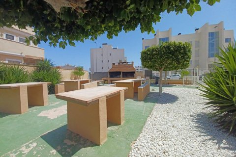 Apartament Los Dolses, Alicante, Hiszpania 3 sypialnie, 106 mkw. nr 115466 – zdjęcie 25