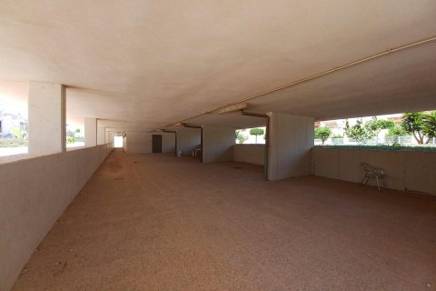 Apartament Los Dolses, Alicante, Hiszpania 3 sypialnie, 106 mkw. nr 115466 – zdjęcie 28