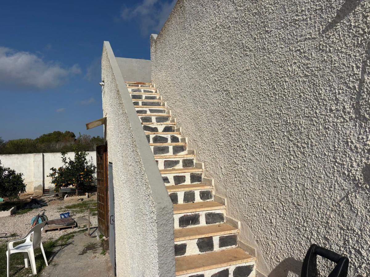 Villa in Torrevieja, Alicante, Spain 2 bedrooms, 75 sq.m. No. 149147