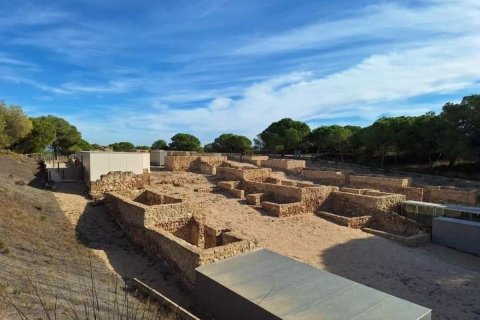 Ático en venta en Guardamar del Segura, Alicante, España 3 dormitorios, 142 m2 No. 149148 - foto 30