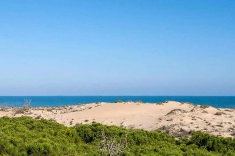 Ático en venta en Guardamar del Segura, Alicante, España 3 dormitorios, 142 m2 No. 149148 - foto 26