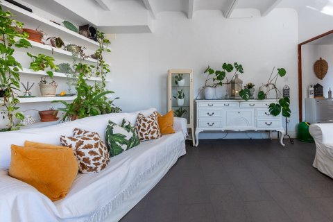 Hotel w Caimari, Mallorca, Hiszpania 6 sypialni, 301 mkw. nr 152050 – zdjęcie 12