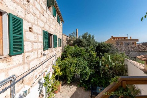 Hotel w Caimari, Mallorca, Hiszpania 6 sypialni, 301 mkw. nr 152050 – zdjęcie 4
