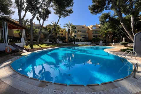 Apartment in Santa Ponsa, Mallorca, Spain 2 bedrooms, 86 sq.m. No. 152048