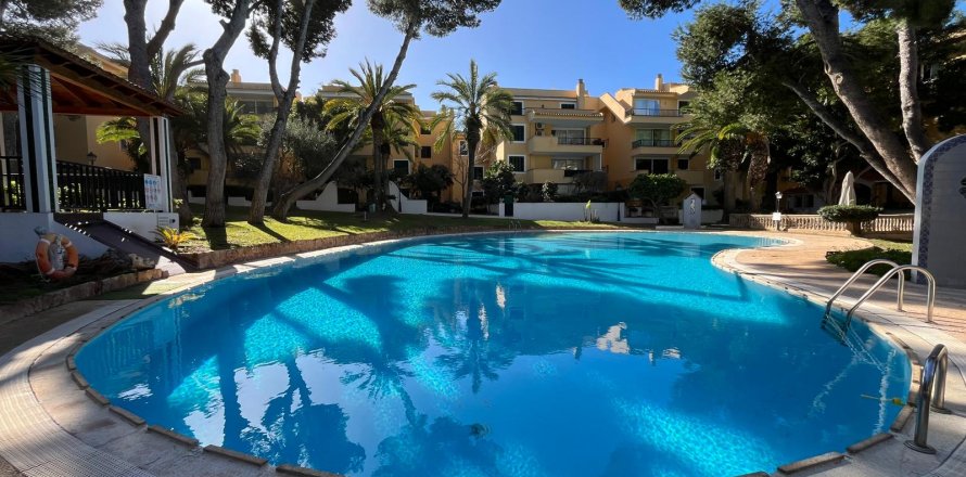 Apartment in Santa Ponsa, Mallorca, Spain 2 bedrooms, 86 sq.m. No. 152048