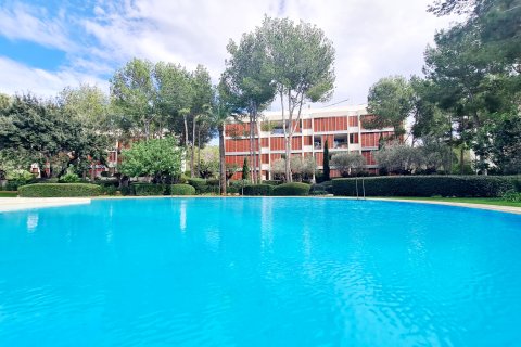 Apartment for rent in Bendinat, Mallorca, Spain 3 bedrooms, 264 sq.m. No. 152052 - photo 4