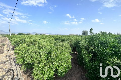 Commercial property for sale in Pego, Alicante, Spain No. 185833 - photo 4