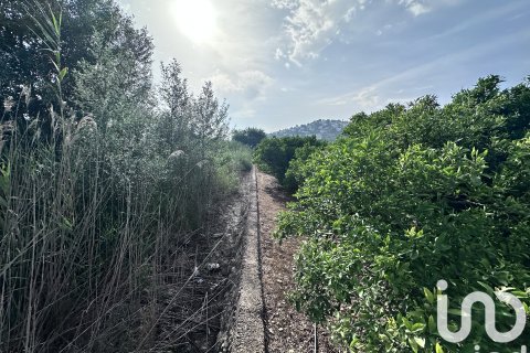 Commercial property for sale in Pego, Alicante, Spain No. 185833 - photo 13