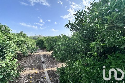 Commercial property for sale in Pego, Alicante, Spain No. 185833 - photo 11