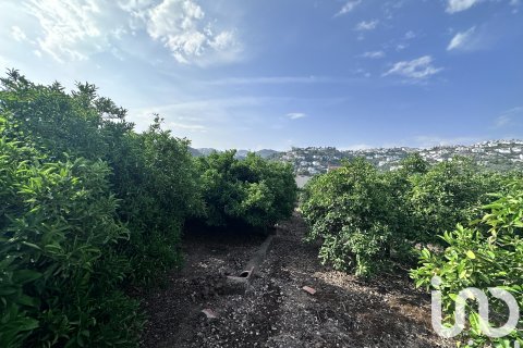 Commercial property for sale in Pego, Alicante, Spain No. 185833 - photo 15