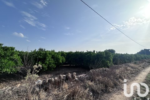 Commercial property for sale in Pego, Alicante, Spain No. 185833 - photo 2