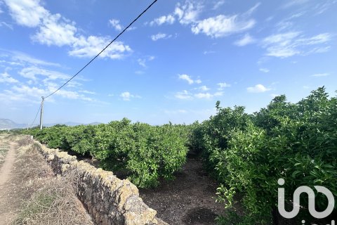 Commercial property for sale in Pego, Alicante, Spain No. 185833 - photo 3