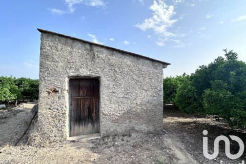 Gewerbeimmobilien in Pego, Alicante, Spanien Nr. 185833