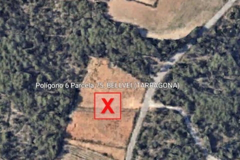 Terreno a Bellvei, Tarragona, Spagna 14441 mq. N° 185839