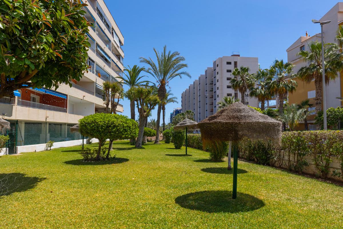Apartamento en Torrevieja, Alicante, España 3 dormitorios, 110 m2 No. 148945