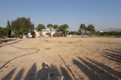 Villa in vendita La Matanza, Alicante, Spagna 7 camere da letto, 350 mq. N° 138960 - foto 6