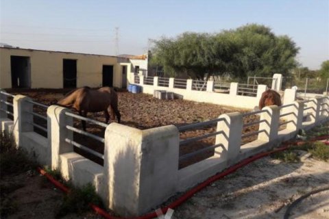 Villa in vendita La Matanza, Alicante, Spagna 7 camere da letto, 350 mq. N° 138960 - foto 5
