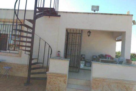 Villa in vendita La Matanza, Alicante, Spagna 7 camere da letto, 350 mq. N° 138960 - foto 14
