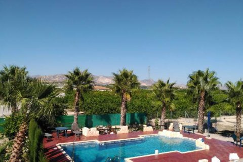 Villa in vendita La Matanza, Alicante, Spagna 7 camere da letto, 350 mq. N° 138960 - foto 11