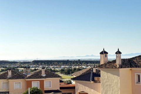 Apartment for sale in Murcia, Spain 3 bedrooms,  No. 166240 - photo 18