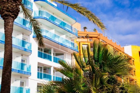 Propiedad comercial en venta Benidorm, Alicante, España 66 dormitorios, 420 m2 No. 111011 - foto 1