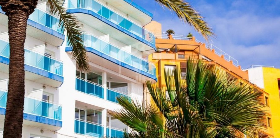 Propiedad comercial Benidorm, Alicante, España 66 dormitorios, 420 m2 No. 111011