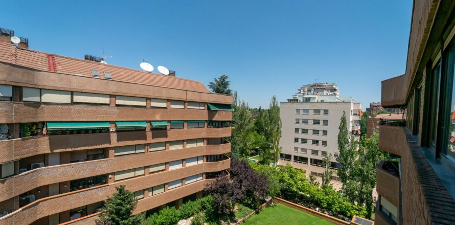 Apartment Madrid, Spain 4 bedrooms, 211 sq.m. No. 116813
